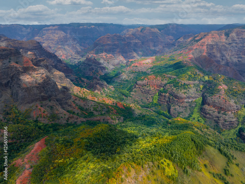 Aerial view of Waimea Canyon on Kauai Island, Hawaii, showcasing red and green cliffs, deep valleys, lush vegetation, and a partly cloudy sky. photo