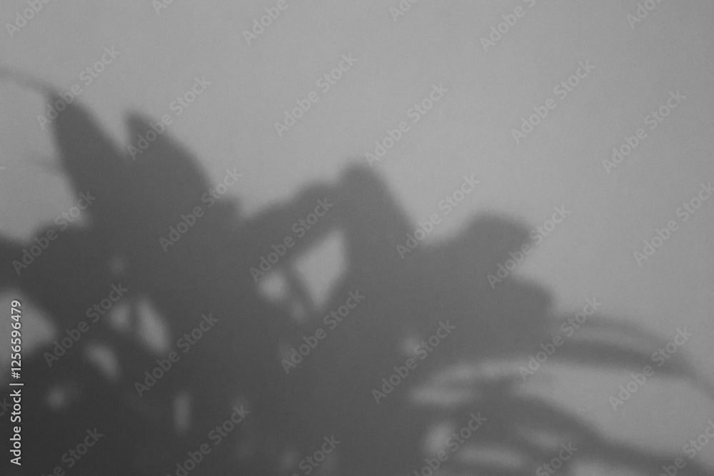 Obraz premium leaf shadow on a concrete wall, nature concept backdrop background, Soft natural background For aesthetic creative design