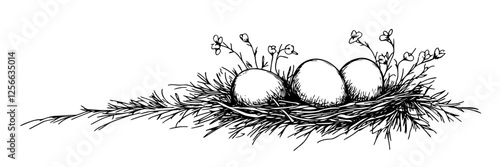 bird nest with eggs and flowers vector doodle black sketch illustration