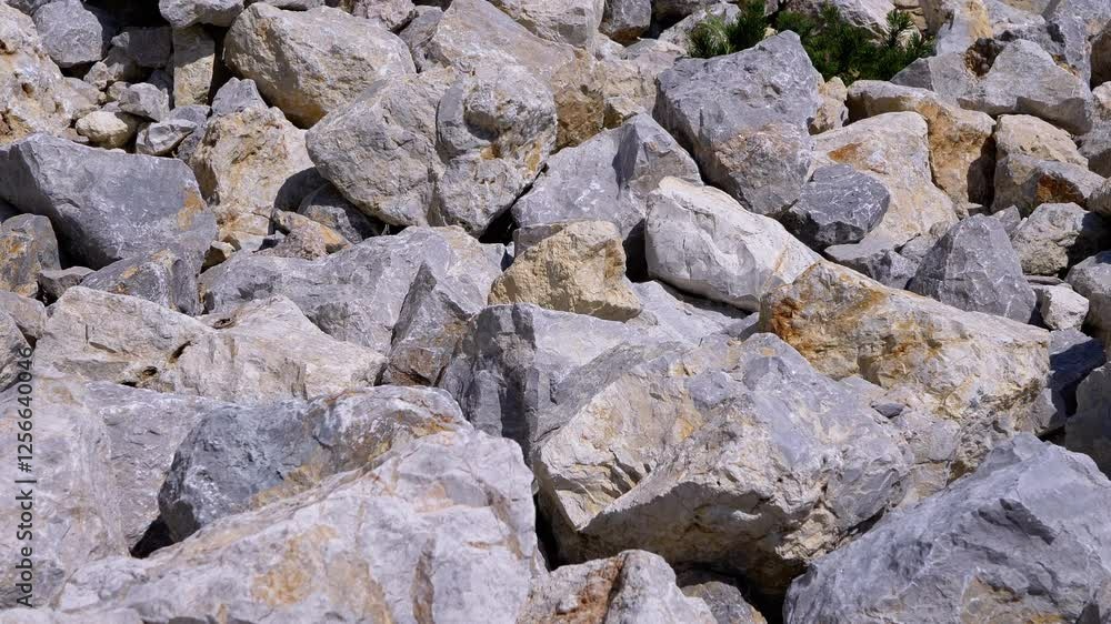 Close-up of a pile of gray rocks with yellow veins, creating a textured natural backdrop. A small green plant grows among the stones, adding a touch of life to the rugged scenery. Perfect footage for Close-up of a pile of gray rocks with yellow veins, creating a textured natural backdrop. A small green plant grows among the stones, adding a touch of life to the rugged scenery. Perfect footage for