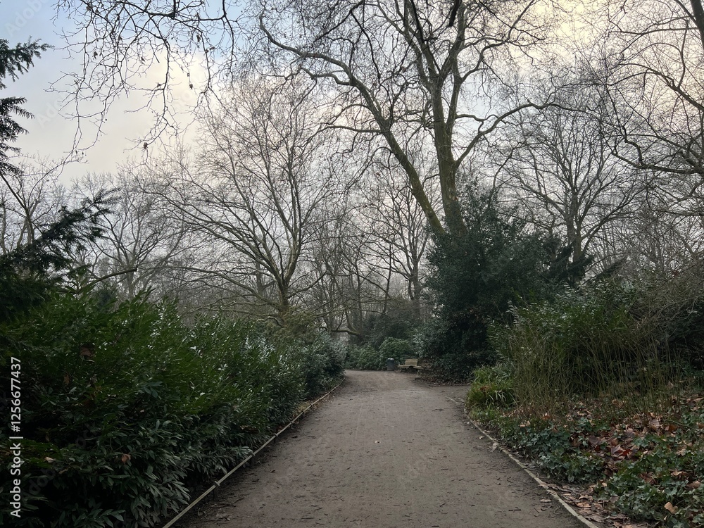 A tranquil winter scene in a quiet park with a pathway surrounded by lush green shrubs and bare trees under a soft, overcast sky A tranquil winter scene in a quiet park with a pathway surrounded by lush green shrubs and bare trees under a soft, overcast sky