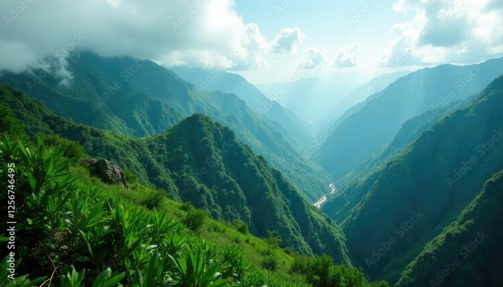 Fototapeta premium Emerald canopies stretch across mountain peaks, green, cloudy