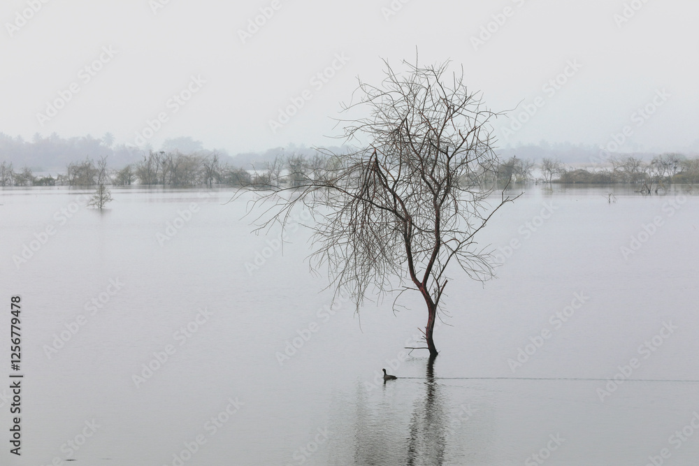 Obraz premium Dead Trees in Lake - global warming