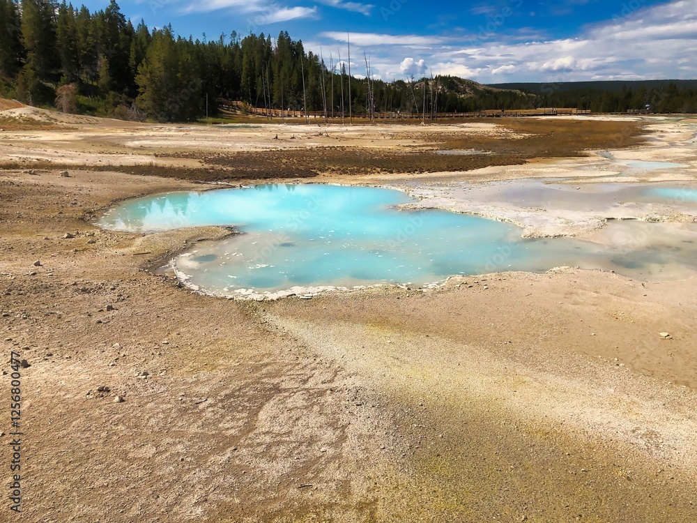 Scummy Pool in Yellowstone National Park in Wyoming. Scummy Pool in Yellowstone National Park in Wyoming.
