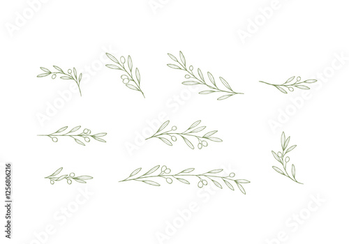 Olive Branch Line art Collection, botanical vector elements