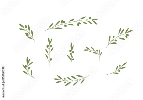 collection hand drawn olive branches and leaves silhouette vector