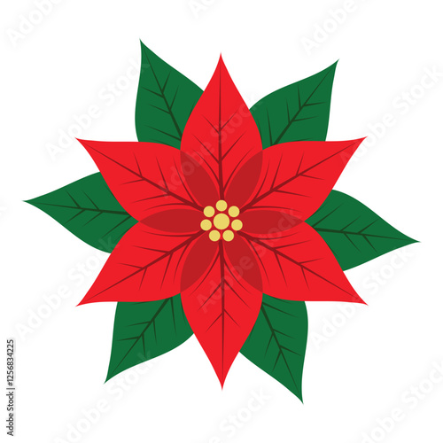 Poinsettia Flower Isolated on White Background