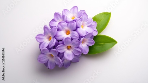 Delicate Purple Flowers with Leaves Isolated on White Background. Generative AI photo