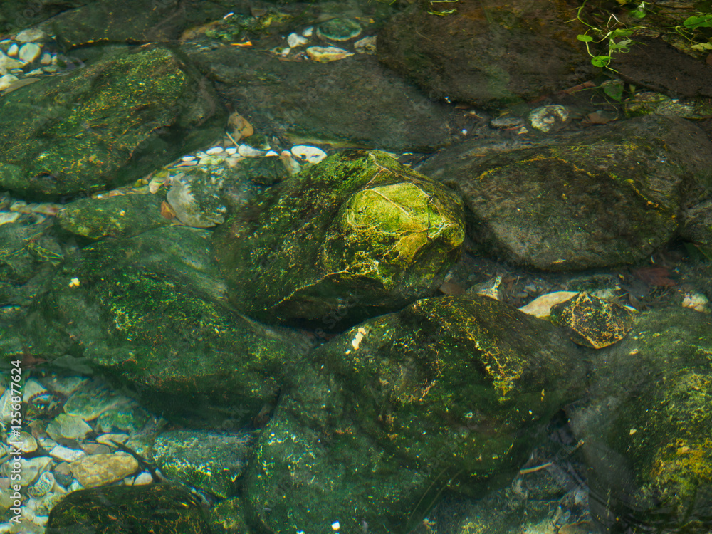 Natural mineral water source in the forest Natural mineral water source in the forest