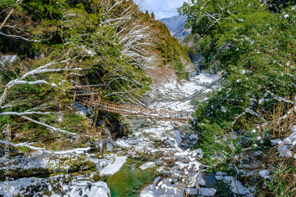 Dramatic view of a bridge over the river in winter, Kazurabashi Vine Bridge in Tokushima Prefecture in Japan, Travel or outdoor, High resolution over 50MP Dramatic view of a bridge over the river in winter, Kazurabashi Vine Bridge in Tokushima Prefecture in Japan, Travel or outdoor, High resolution over 50MP
