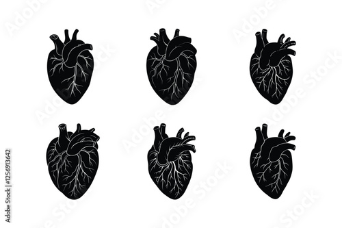 Human heart silhouette vector illustration