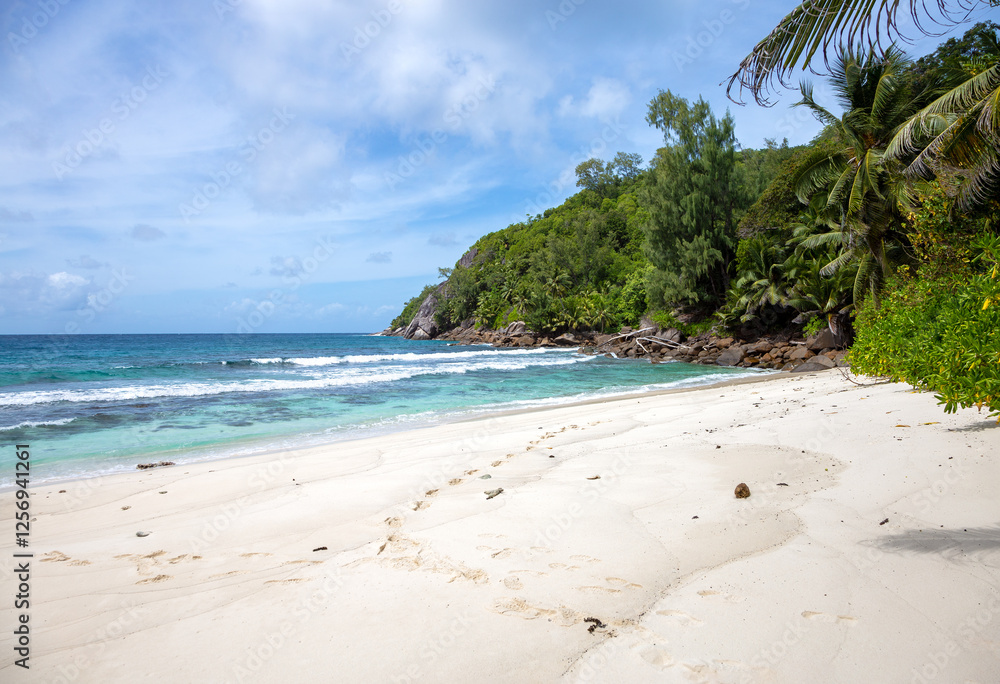 Fototapeta premium Anse Petite Marie-Louise Beach, Island Mahe, Republic of Seychelles.