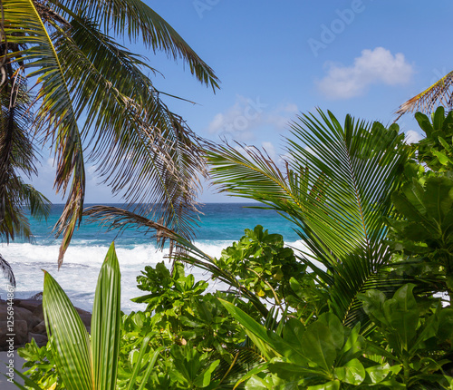Anse Bazarca Beach, Island Mahe, Republic of Seychelles.