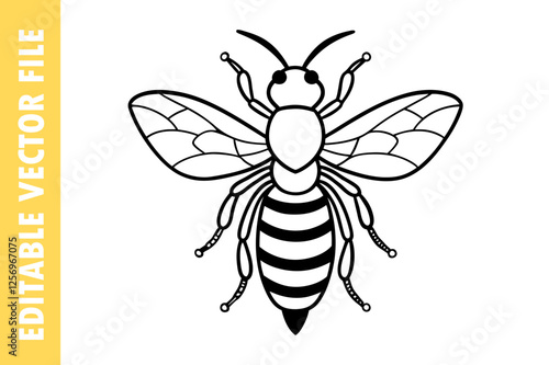 bee on white background, Editable Bee Vector Illustration, Black and White Honey Bee Line Art, High-Resolution Insect Clip art