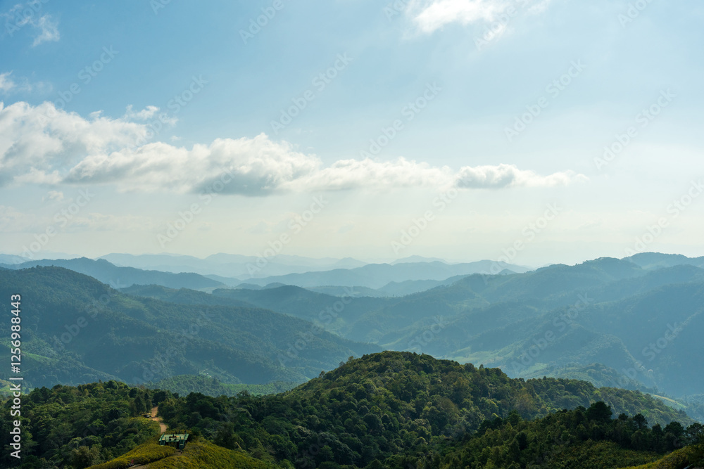 Natural view countryside of mountain forest with blue sky background. Nature rainforest landscape. Natural view countryside of mountain forest with blue sky background. Nature rainforest landscape.