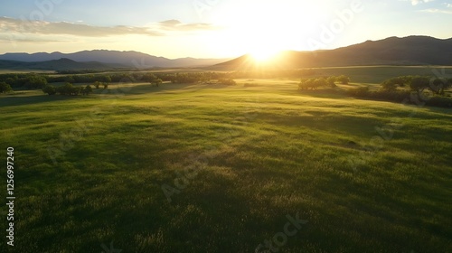 Golden Sunshine Over a Green Meadow with Mountains in the Background : Generative AI photo