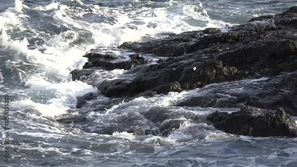 奄美大島 海 波
奄美大島 海 波