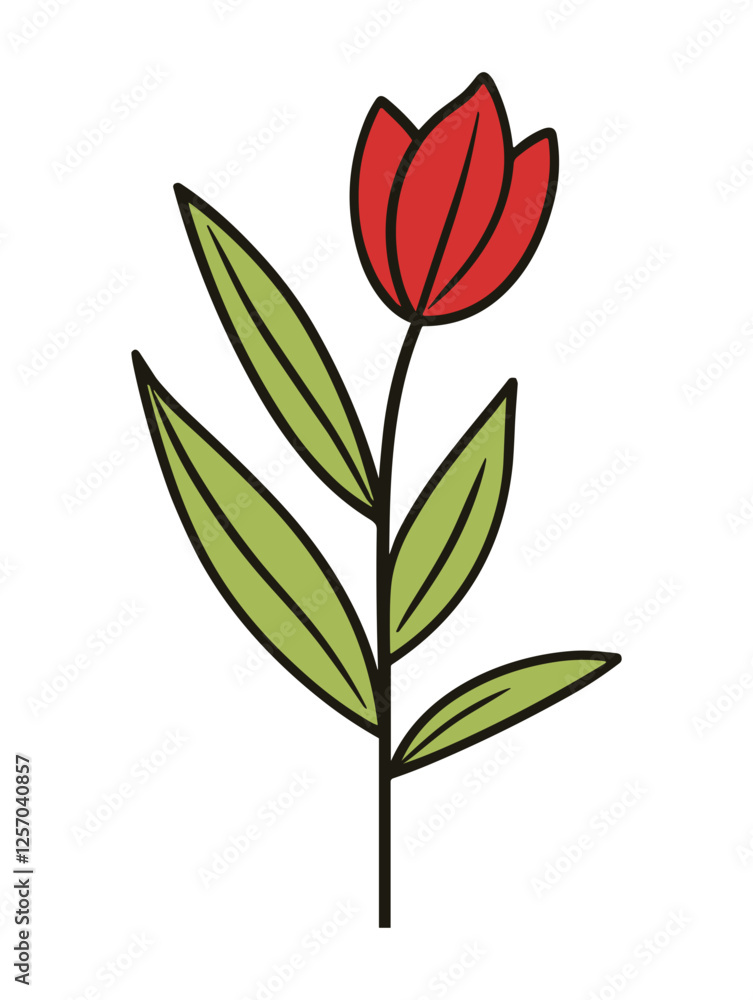 Single red tulip with green leaves. Single red tulip with green leaves.