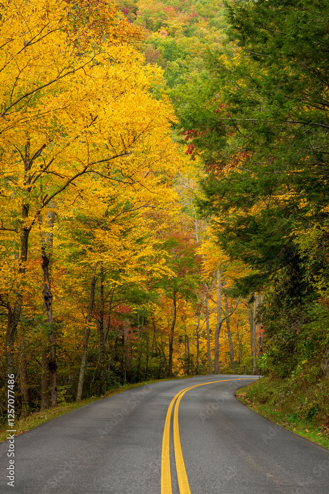 Obraz premium Autumn Colors