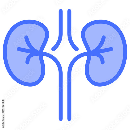Nephrology Icon
