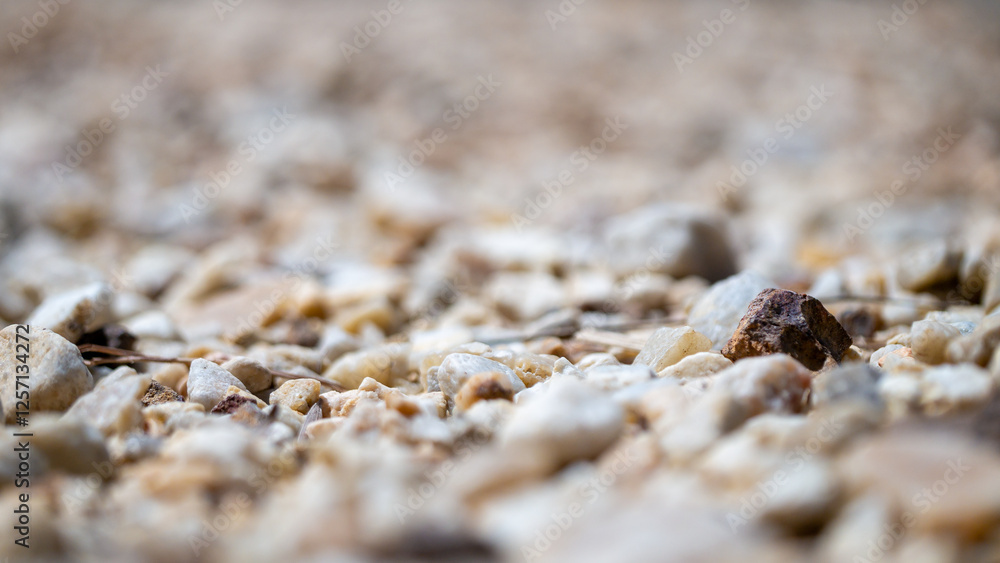 Exploring natural textures rocky shoreline outdoor close-up geology Exploring natural textures rocky shoreline outdoor close-up geology