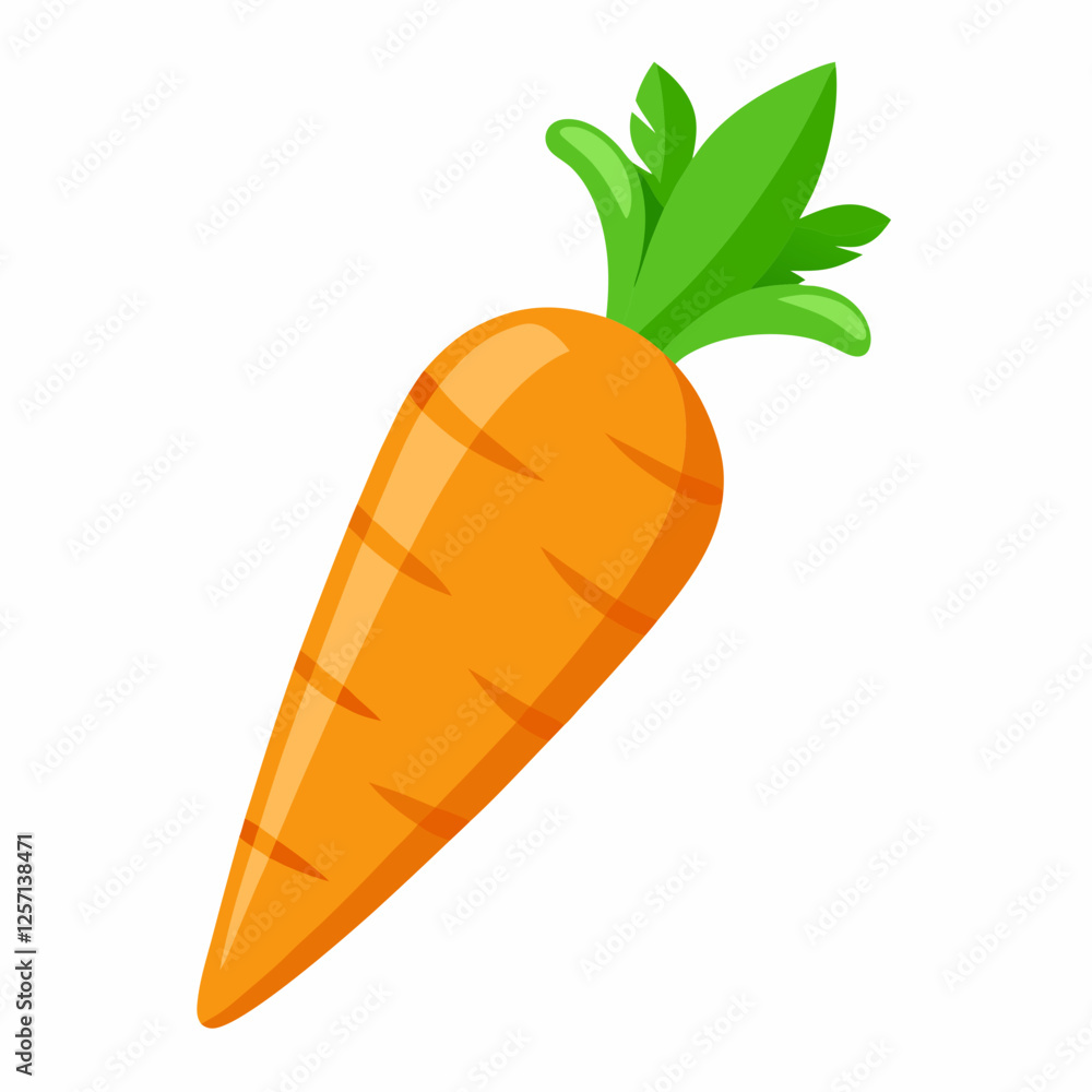 Carrot Vector Illustration on White Backgrou Carrot Vector Illustration on White Backgrou