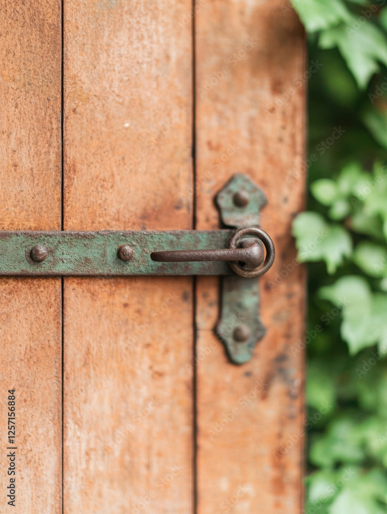 Corroded Metal Backdrop with Oxidized Iron Sheet Texture. Wooden door with green foliage and metal latch detail. Corroded Metal Backdrop with Oxidized Iron Sheet Texture. Wooden door with green foliage and metal latch detail.