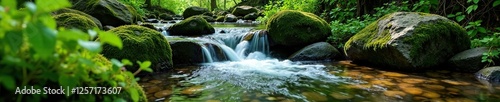 Serene forest brook flowing beside moss covered stones, green, forest, forest floor