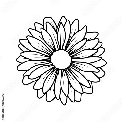Fleur de marguerite