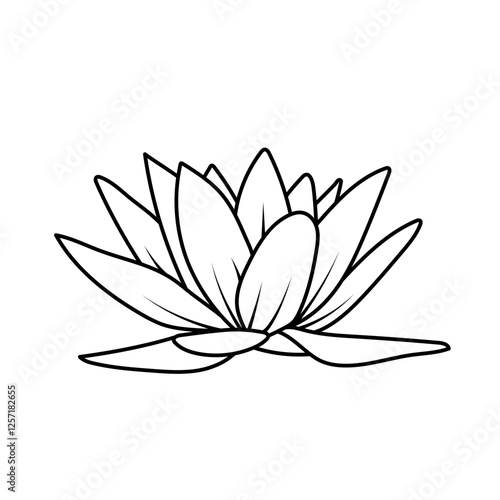 Nénuphar - Fleur de lotus