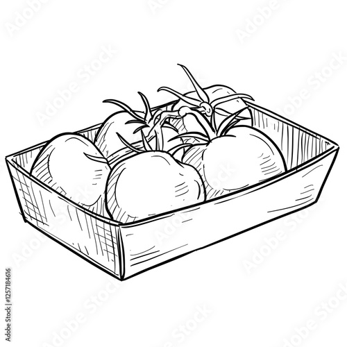 tomato handdrawn illustration