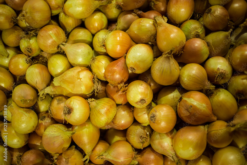 A close-up of freshly harvested onions with their golden-brown skins and natural textures, showcasing the vibrant produce ready for market or culinary use. A close-up of freshly harvested onions with their golden-brown skins and natural textures, showcasing the vibrant produce ready for market or culinary use.