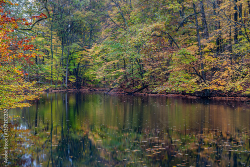 501-61 Autumn Lake photo
