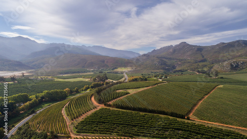 Aerial view of the Elgin/Grabouw Valley in South Africa, featuring lush orchards, winding roads, and dramatic mountain landscapes, highlighting the region's agricultural richness photo