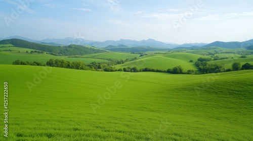 Rolling Hills, Expansive Vi...