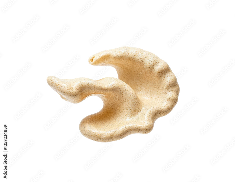 Fototapeta premium sea shell isolated on white background