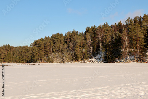Obraz na płótnie Winter
