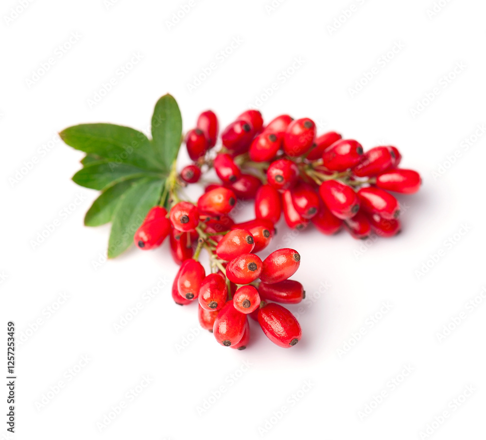Barbarum berries with leaves. Goji berry Barbarum berries with leaves. Goji berry