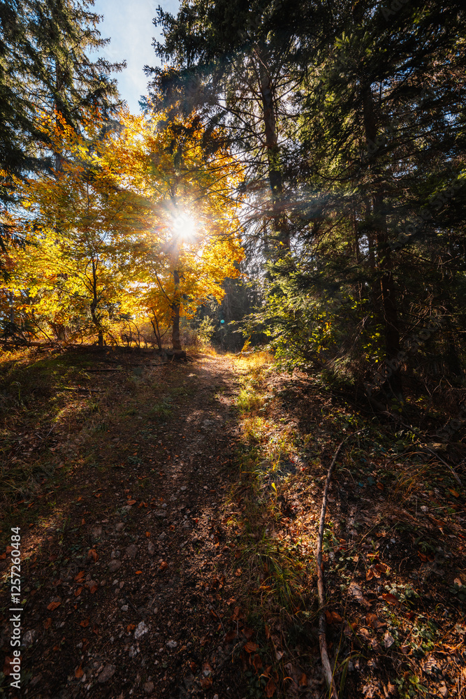 Obraz premium Liptov region Hiking in Tatras mountains to autumn cerenova rock view near Liptovsky Mikulas , slovakia.