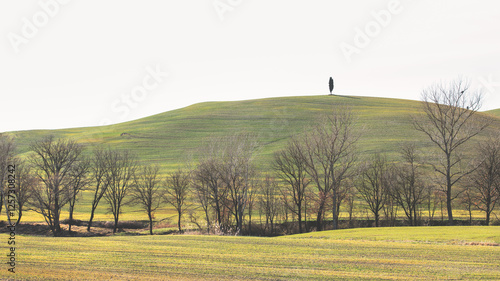 Typical landscape of Tuscany in Italy Europe