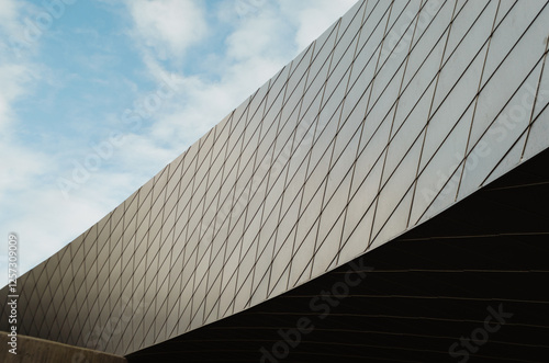 Photography Scale-like architectural building facade design