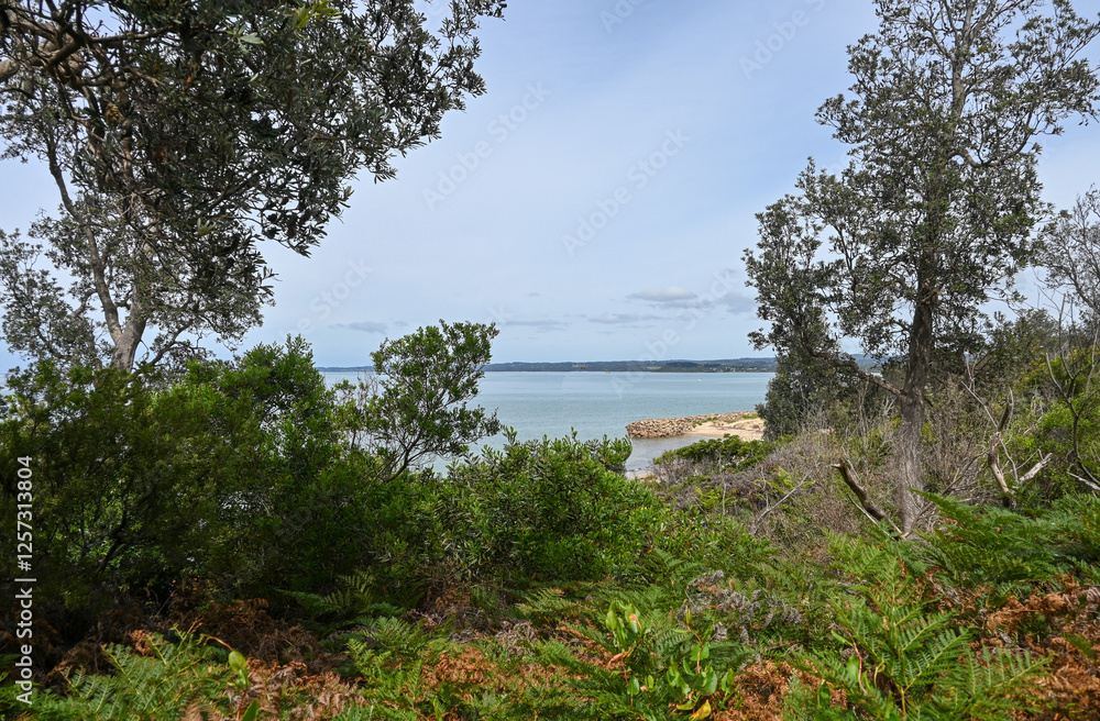 Beach landscape framed by trees in the Australian bush scrub Beach landscape framed by trees in the Australian bush scrub
