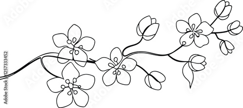 Elegant Line Art Cherry Blossom Branch Floral Design Illustration