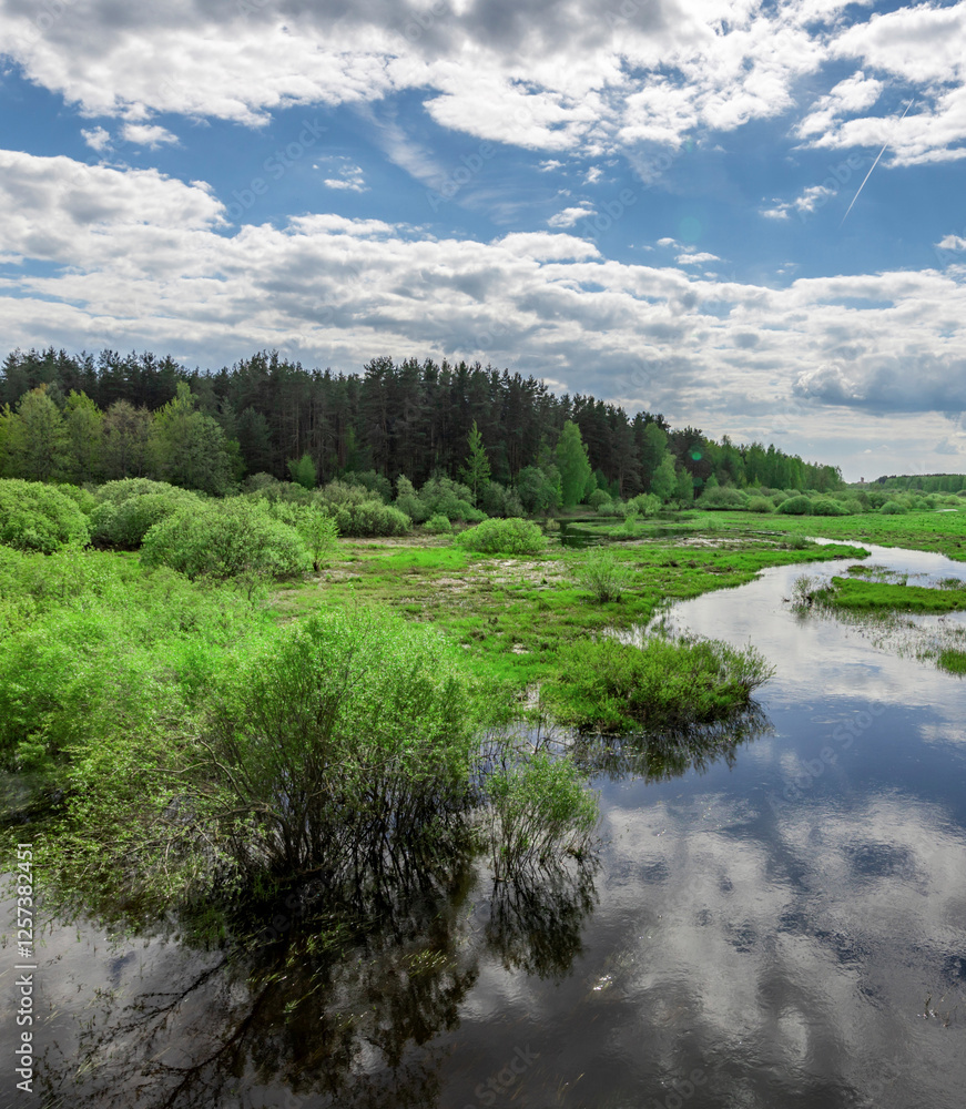 Calm river with trees and bushes on either side Calm river with trees and bushes on either side