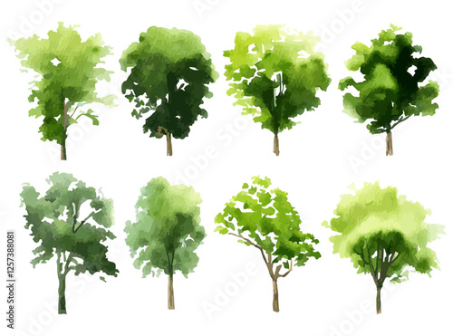 Vector design illustration of architectural tree in handwritten style in watercolor style