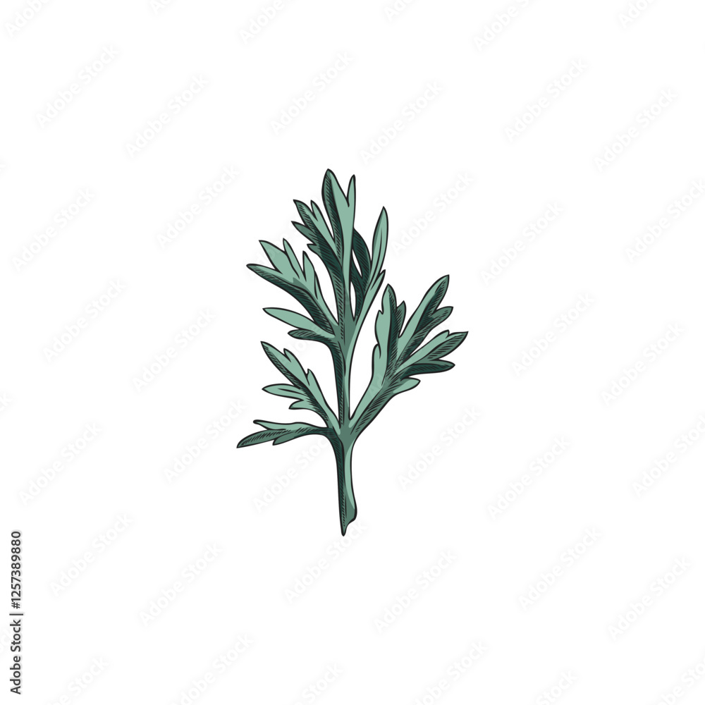 Wormwood leaf sketch, hand drawn wild sagebrush essential herb, Artemisia medicinal plant foliage vector illustration Wormwood leaf sketch, hand drawn wild sagebrush essential herb, Artemisia medicinal plant foliage vector illustration
