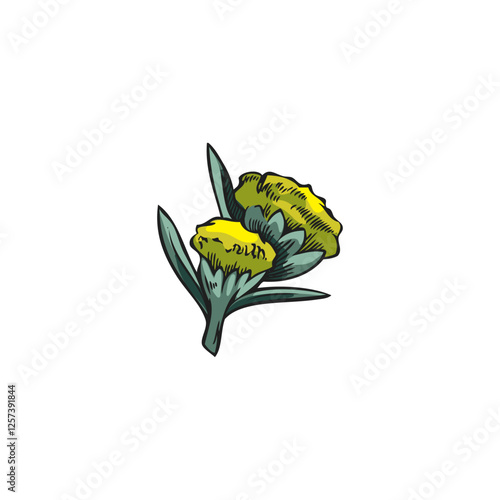 Wormwood yellow flowers sketch, vector hand drawn medical wormwood blossom plant, Artemisia sagebrush essential herb