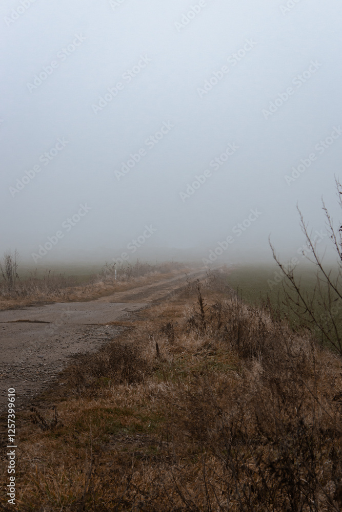 Empty dirty road in the fog. Bad weather in countryside. Road on foggy day in perspective with copy space. Ghostly misty trail. Spleen concept. Moody weather. Foggy landscape. Beauty in nature.