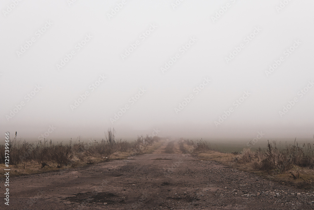 Empty dirty road in the fog. Bad weather in countryside. Road on foggy day in perspective with copy space. Ghostly misty trail. Spleen concept. Moody weather. Foggy landscape. Beauty in nature.