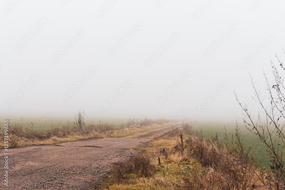 Empty dirty road in the fog. Bad weather in countryside. Road on foggy day in perspective with copy space. Ghostly misty trail. Spleen concept. Moody weather. Foggy landscape. Beauty in nature.